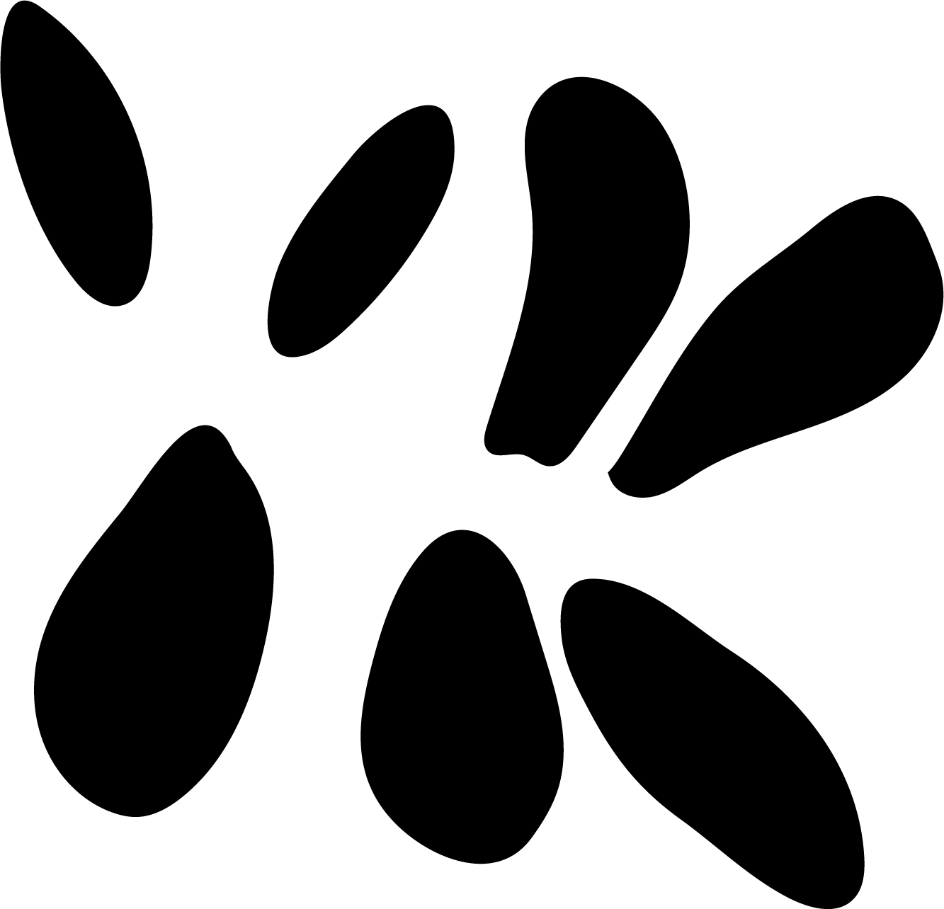 Black paw print on a white background